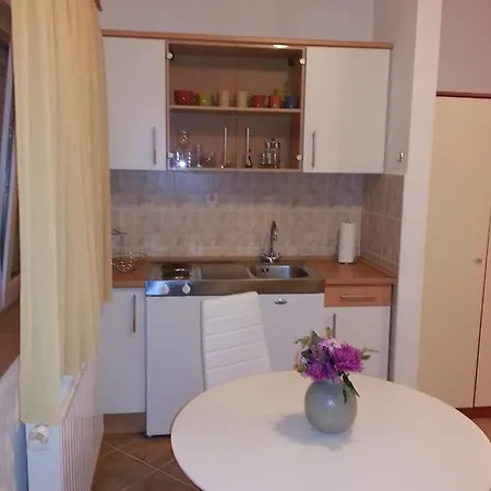 Apartament New Trlaja